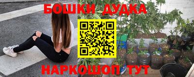 спиды Будённовск