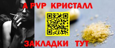 спиды Будённовск