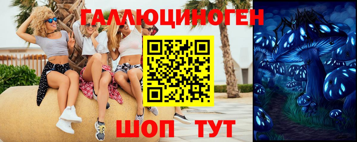 Псилоцибиновые грибы Cubensis  Вход с VPN  Краснокаменск 